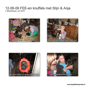 FEE-en knuffels van Stijn & Anja